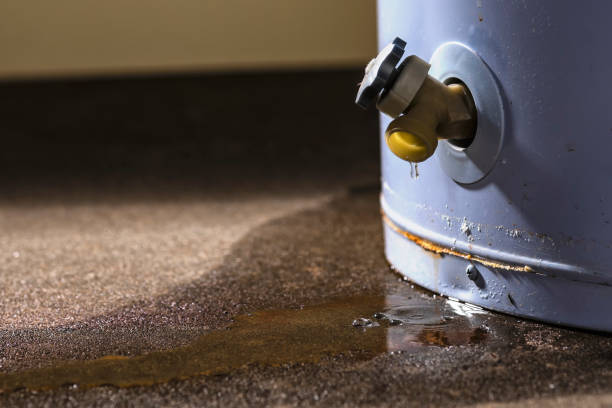 Best Residential water damage restoration  in Atoka, NM