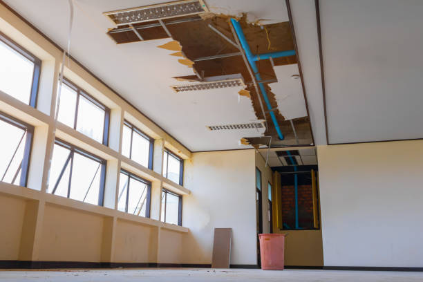 Best Basement water damage restoration  in Atoka, NM