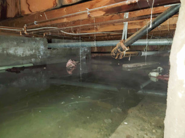 Best Water damage restoration experts  in Atoka, NM