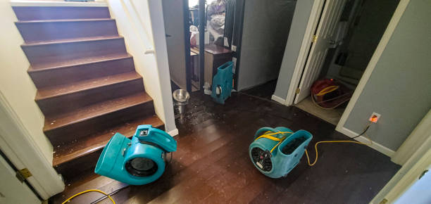 Best Water damage restoration services  in Atoka, NM