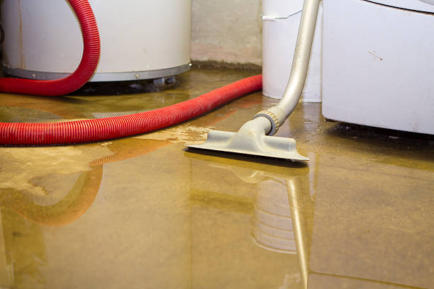 Sewage cleanup and water damage restoration in NM