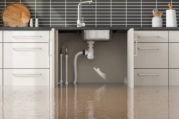 Best Water damage repair service  in Atoka, NM