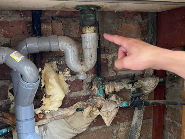 Best Water damage contractors near me  in Atoka, NM