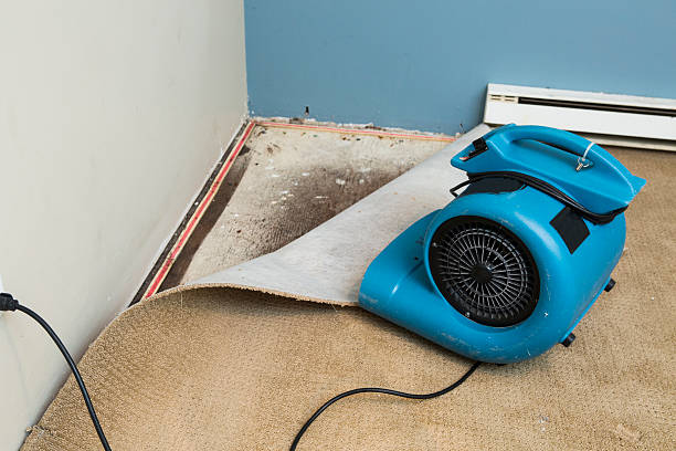 Best Water damage restoration near me  in Atoka, NM
